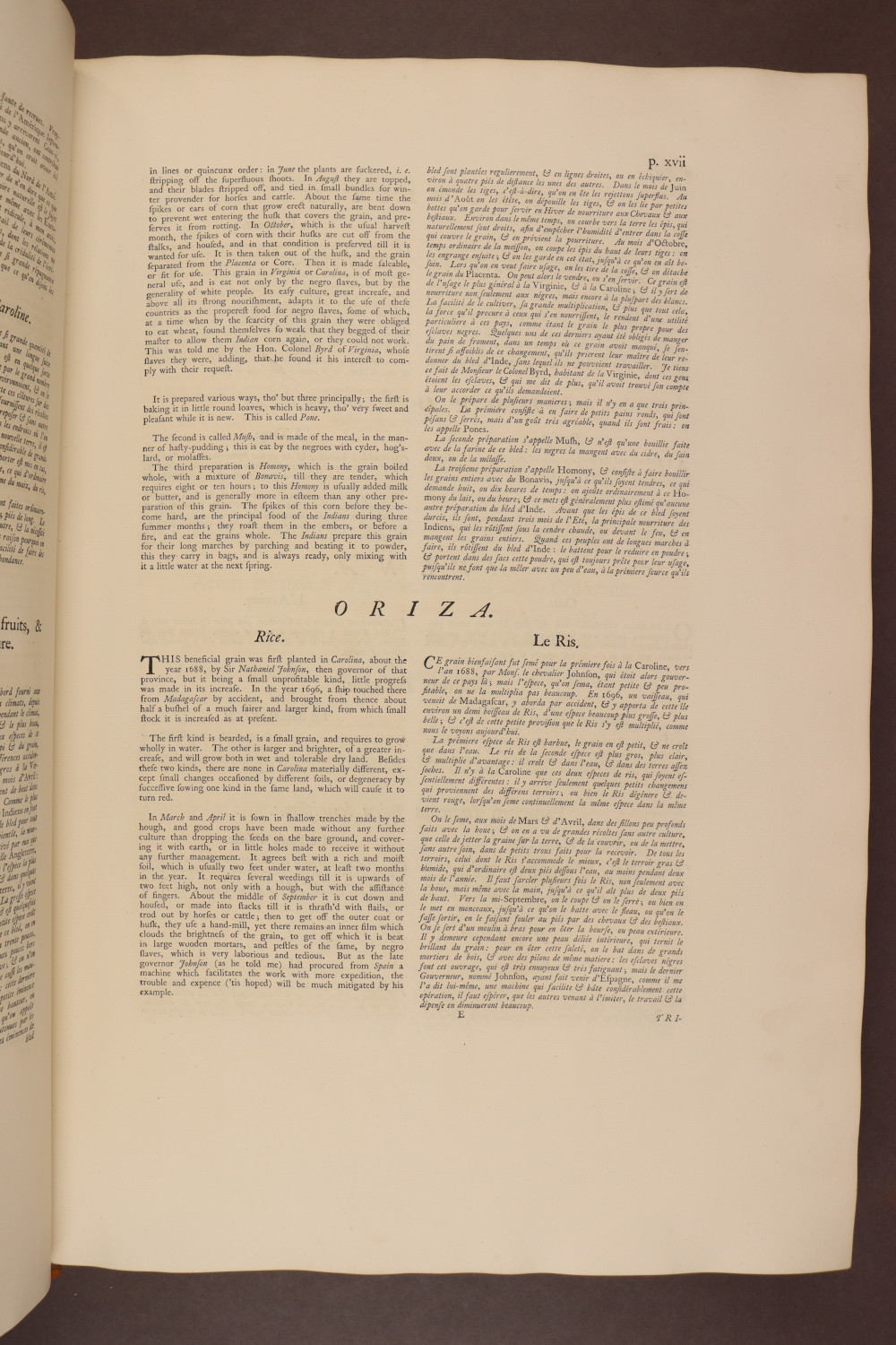 Page xvii